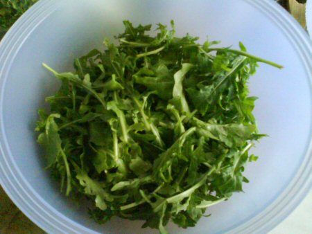 rucola